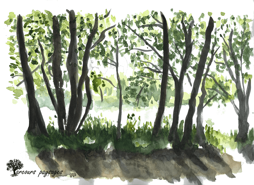 21_PPaysages_Sables_Blanc_Saoû_min