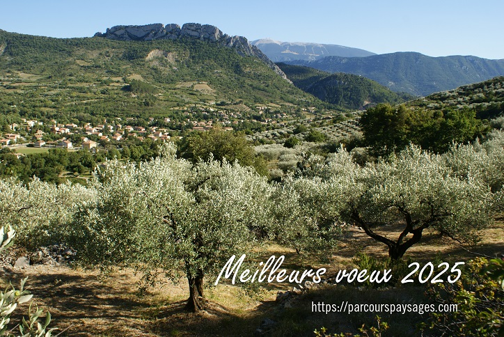 2025_Voeux_Parcours_paysages_LMonnet_min