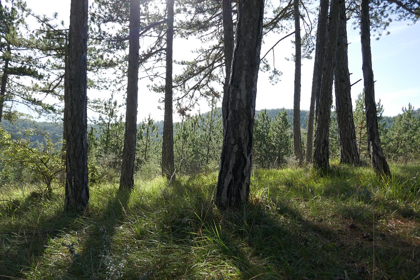 221029_Credit_PPaysages_10_visions_(34)