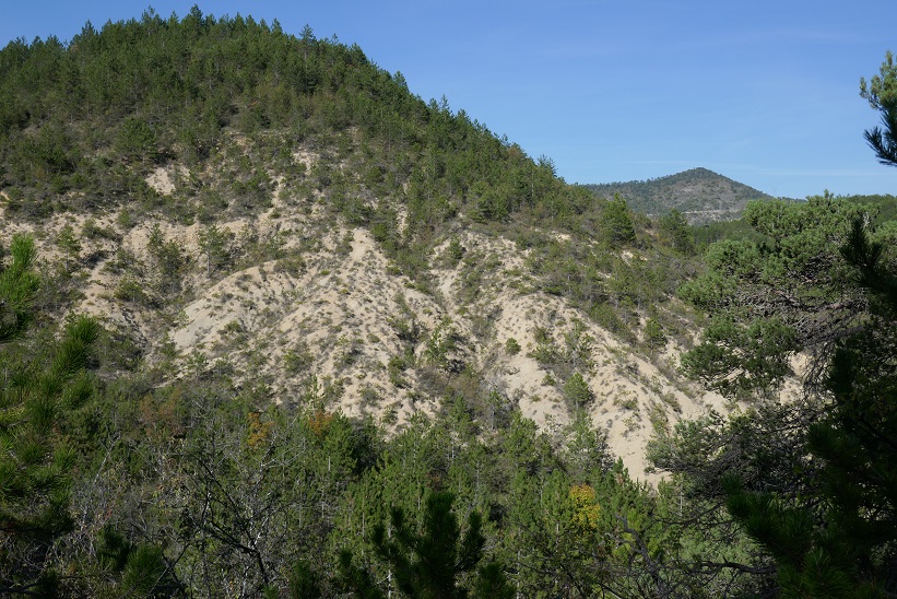 221029_Credit_PPaysages_10_visions_(45)