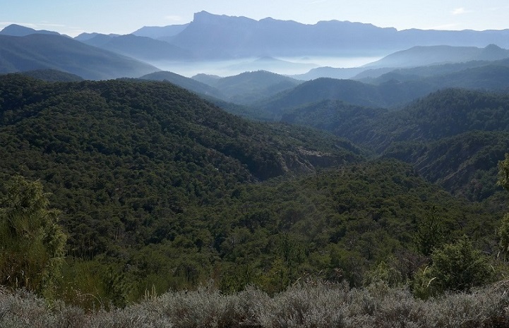 250119_credit_PPaysages_Col_Vachons_Saillans_4_min