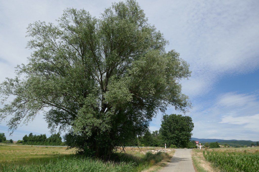 220528_Credit_PPaysages_Ambonil_min