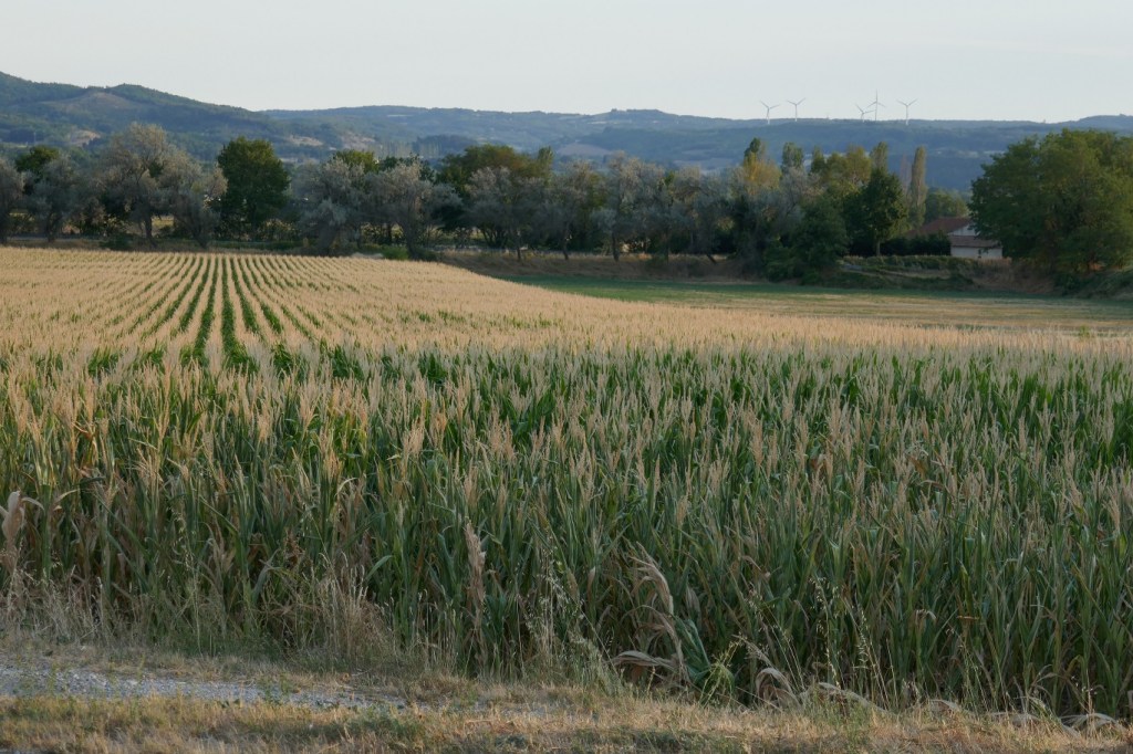 220620_Credit_PPaysages_Eurre_min