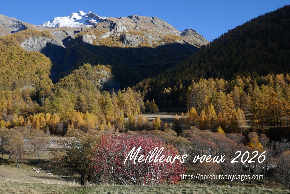 2026_Voeux_Parcours_paysages_LMonnet_min